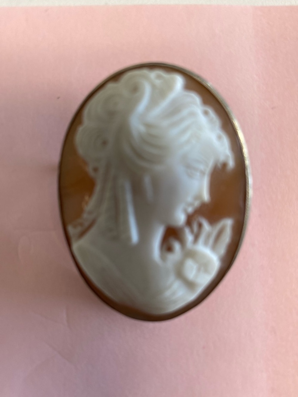 Classic Cameo Portrait Brooch in Cream and Brown sterling silver